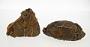 Ferruginous concretion