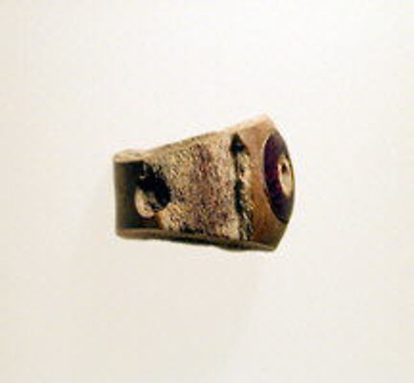 Fibula, fragment
