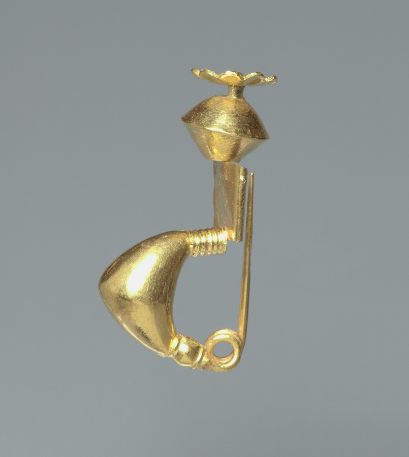 Fibula (Pin)