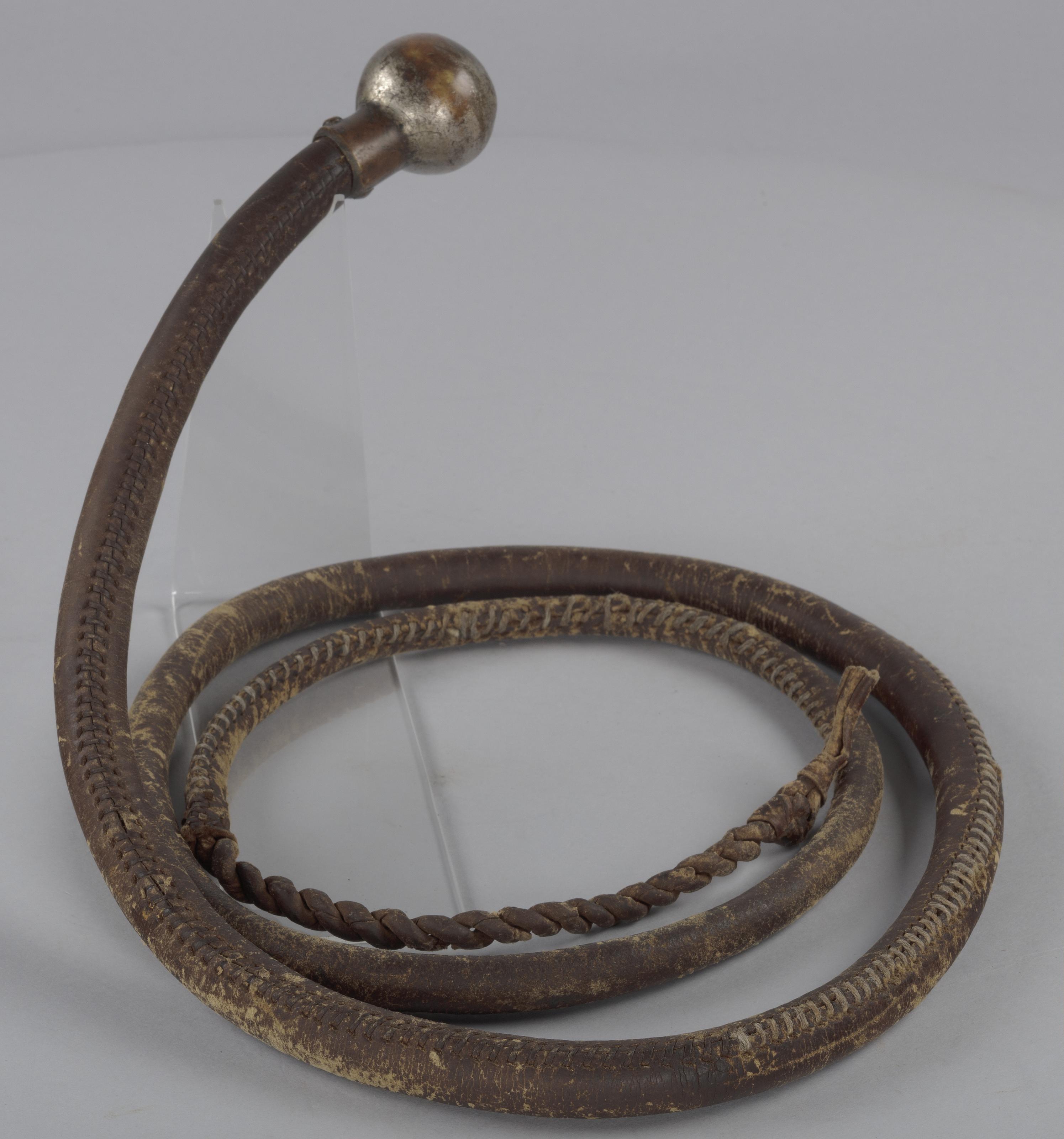 Field whip