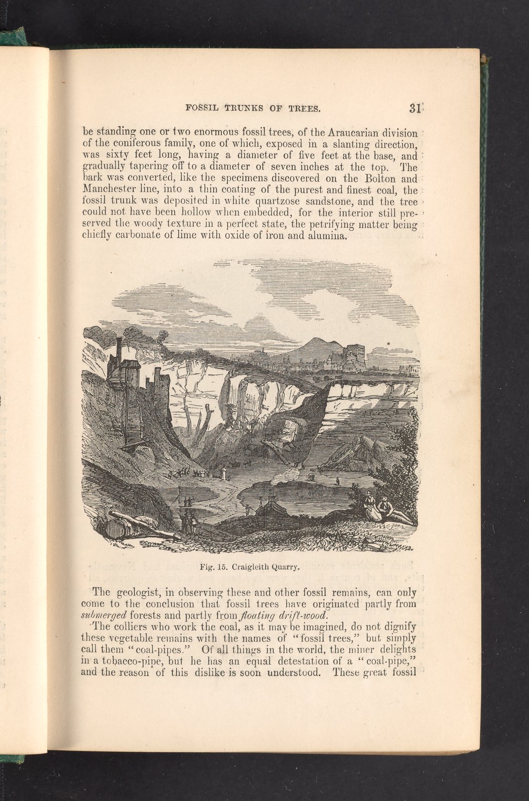 Figure 15. Craigleith Quarry