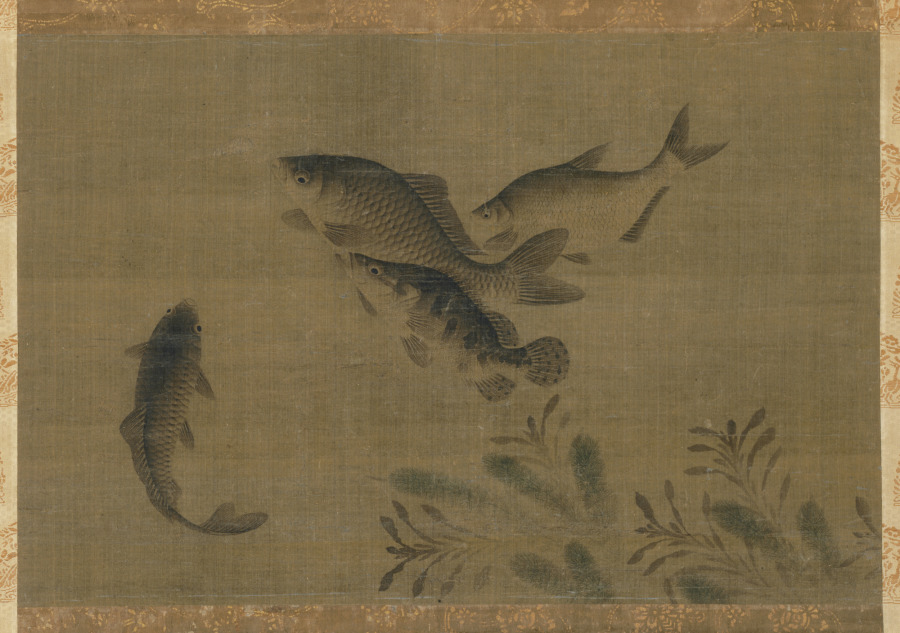 Fish