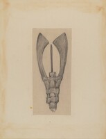 Fish Spear