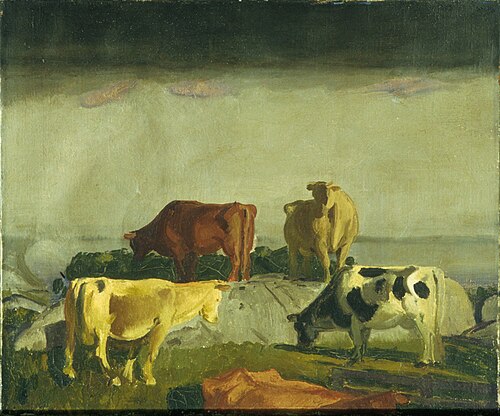 Five Cows