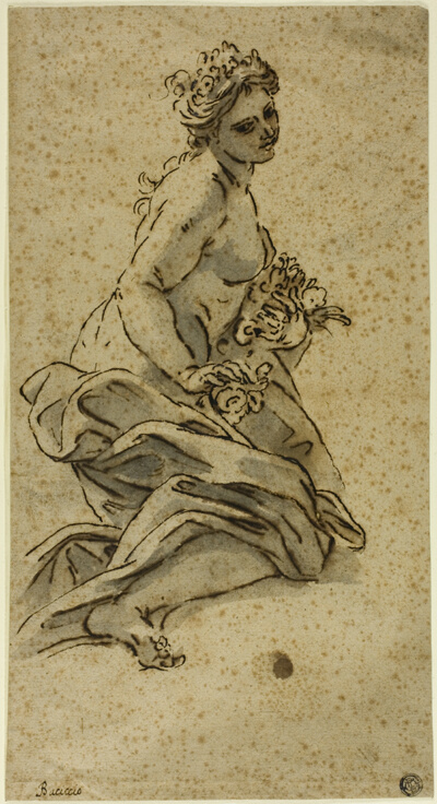 Flora