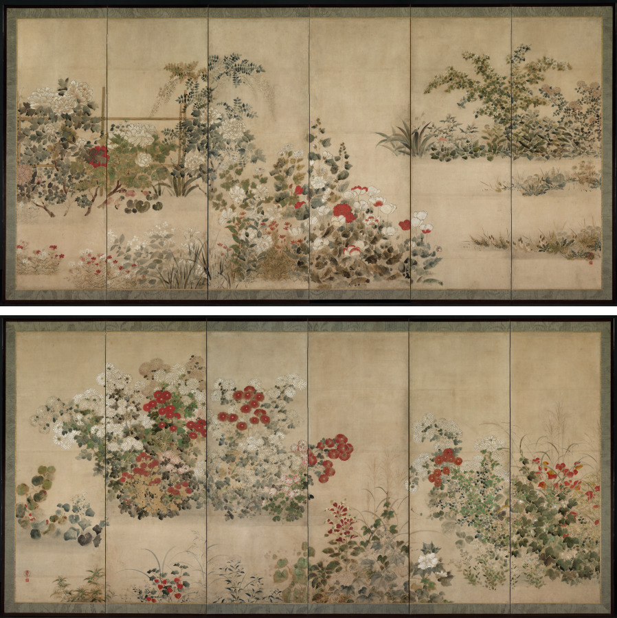 Flowers and Grasses