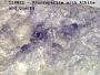 Fluorapatite