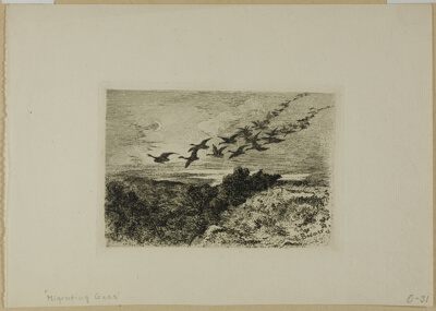 Flying Geese