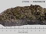 Forsterite