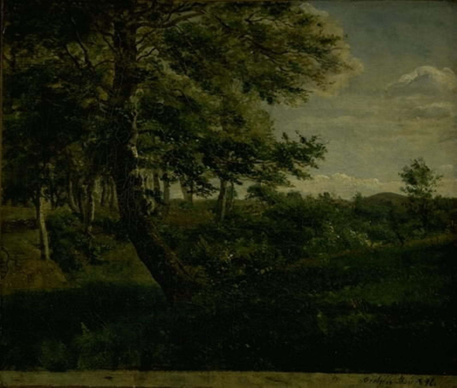 Fra Ørsbjerg skov ved Årup