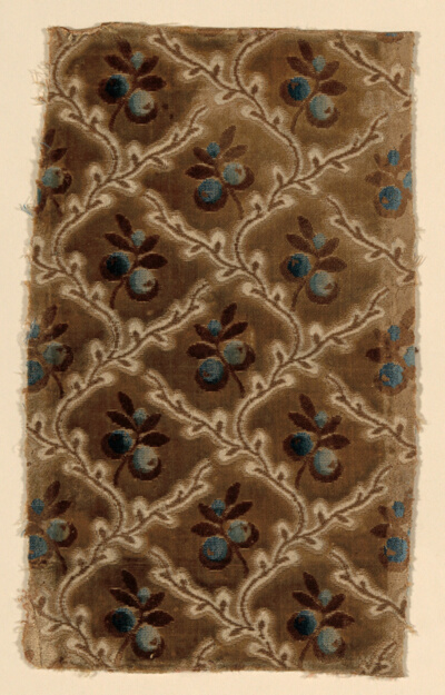Fragment