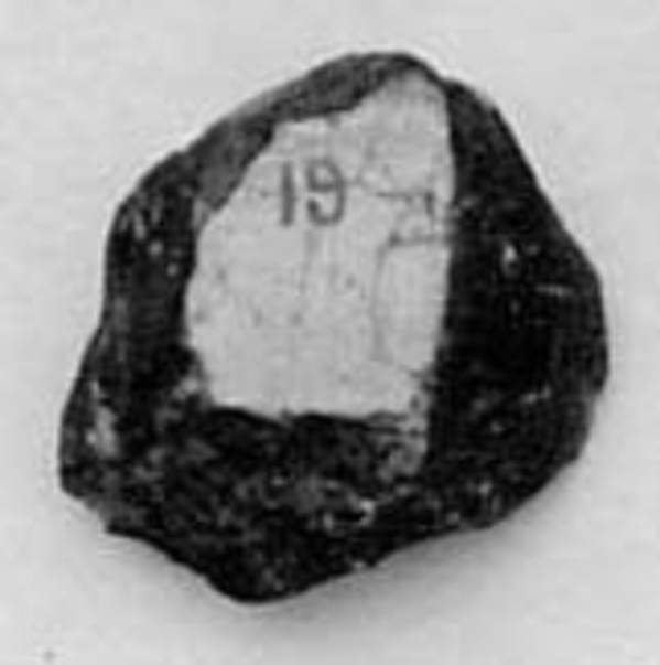 Fragment