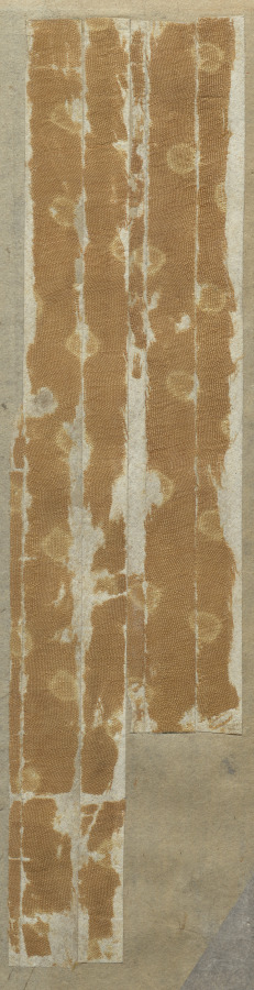 Fragment