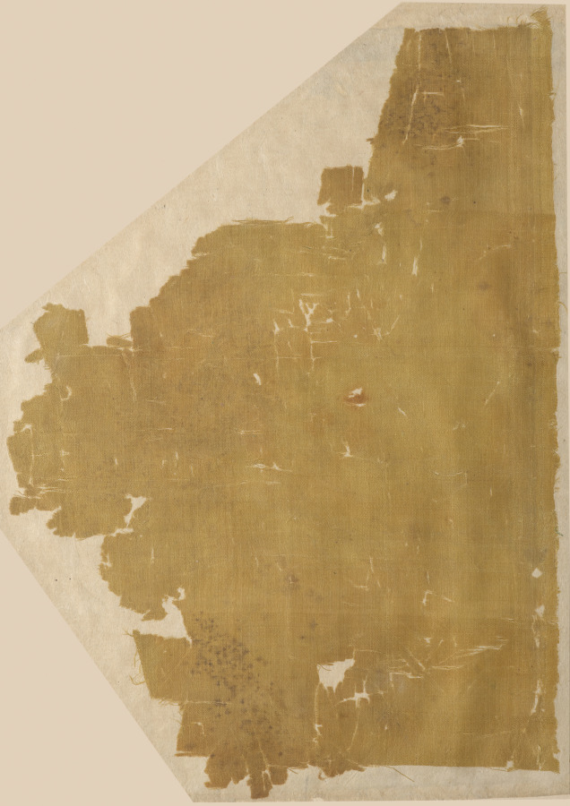 Fragment