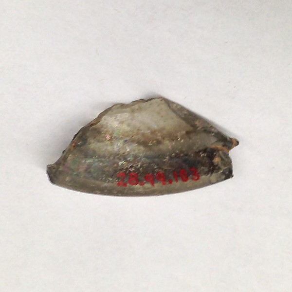 Fragment