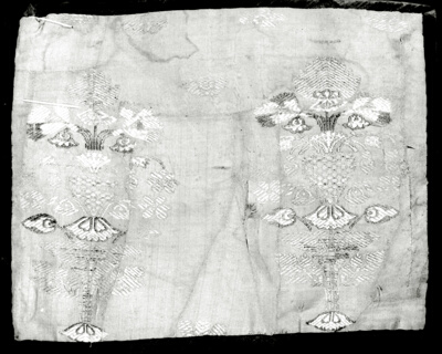 Fragment (Dress Fabric)