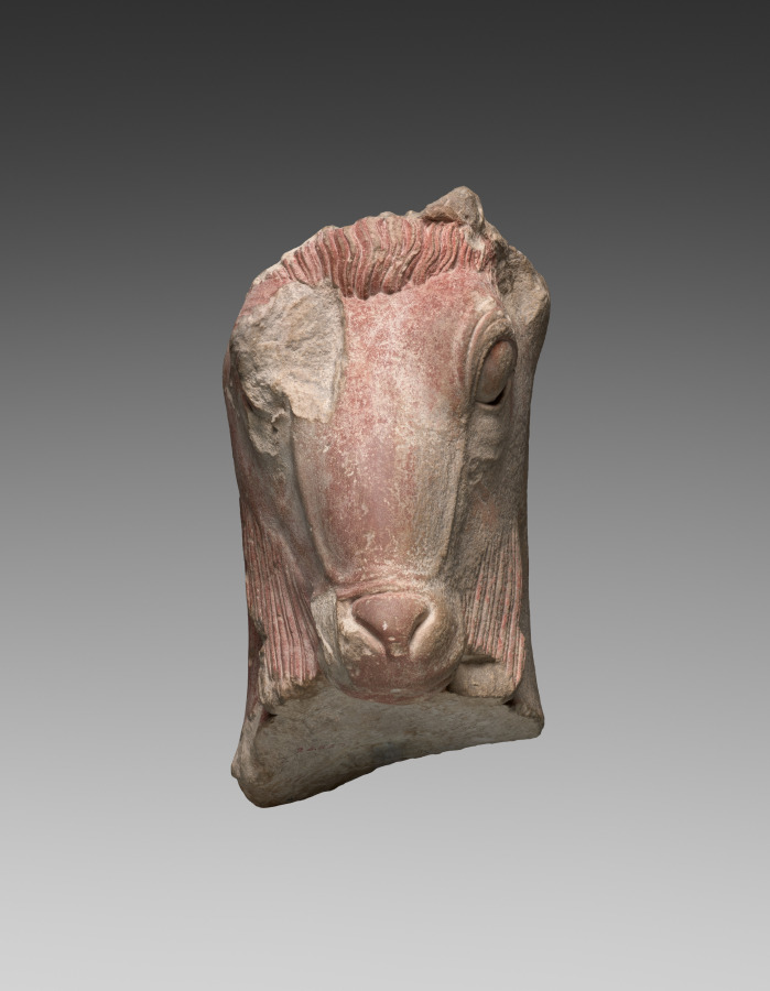 Fragment of a Goat's Head