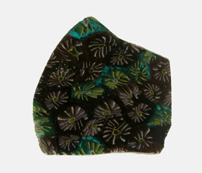 Fragment of a Plate