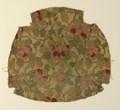 Fragment of Velvet