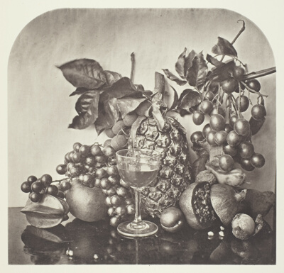 Fruit