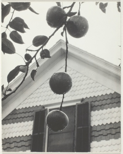 Gable and Apples