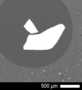 Gadolinium-phosphate