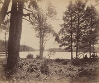 Ganoga Lake