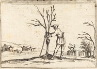 Gardener Pruning a Tree