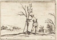 Gardener Pruning a Tree