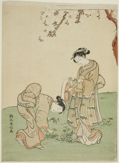 Gathering Spring Flowers