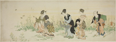 Gathering spring flowers