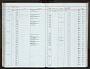 Gerbilliscus sp.