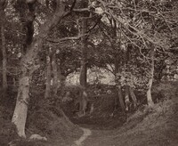 Glen Kenilworth