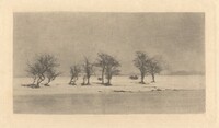 Gnarled-Thorn Trees