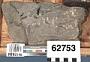 Gneiss