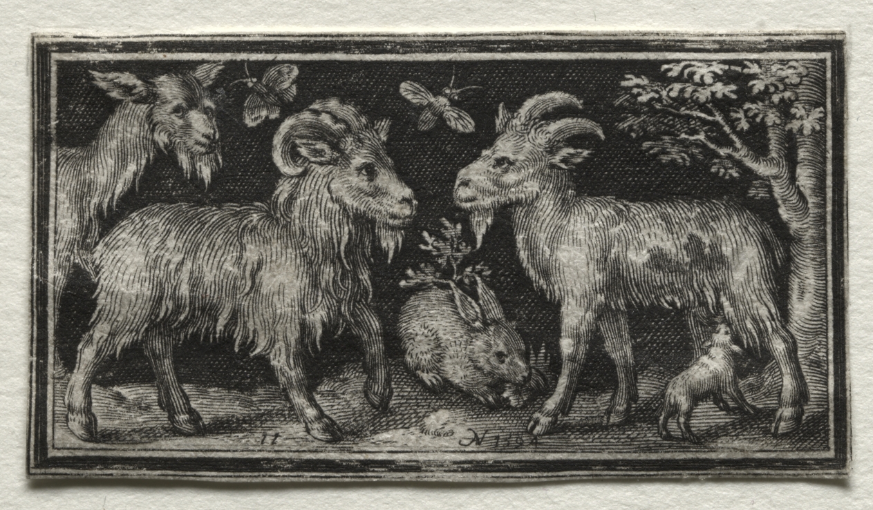 Goats and Hare