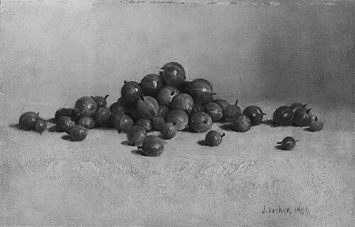 Gooseberries