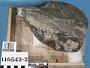 Granitic gneiss