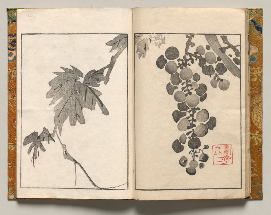 Grapevine, Design Ten from Shazanrō Picture Book