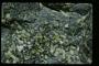 Greenstone