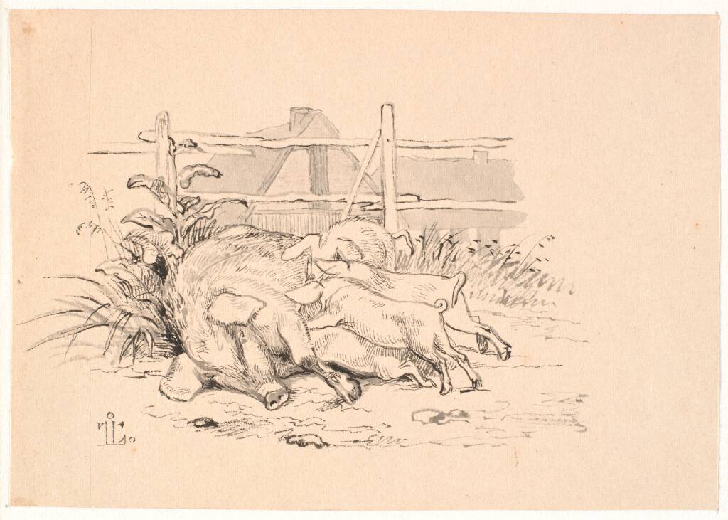 Grisene
