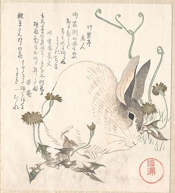 Hare and Dandelion?