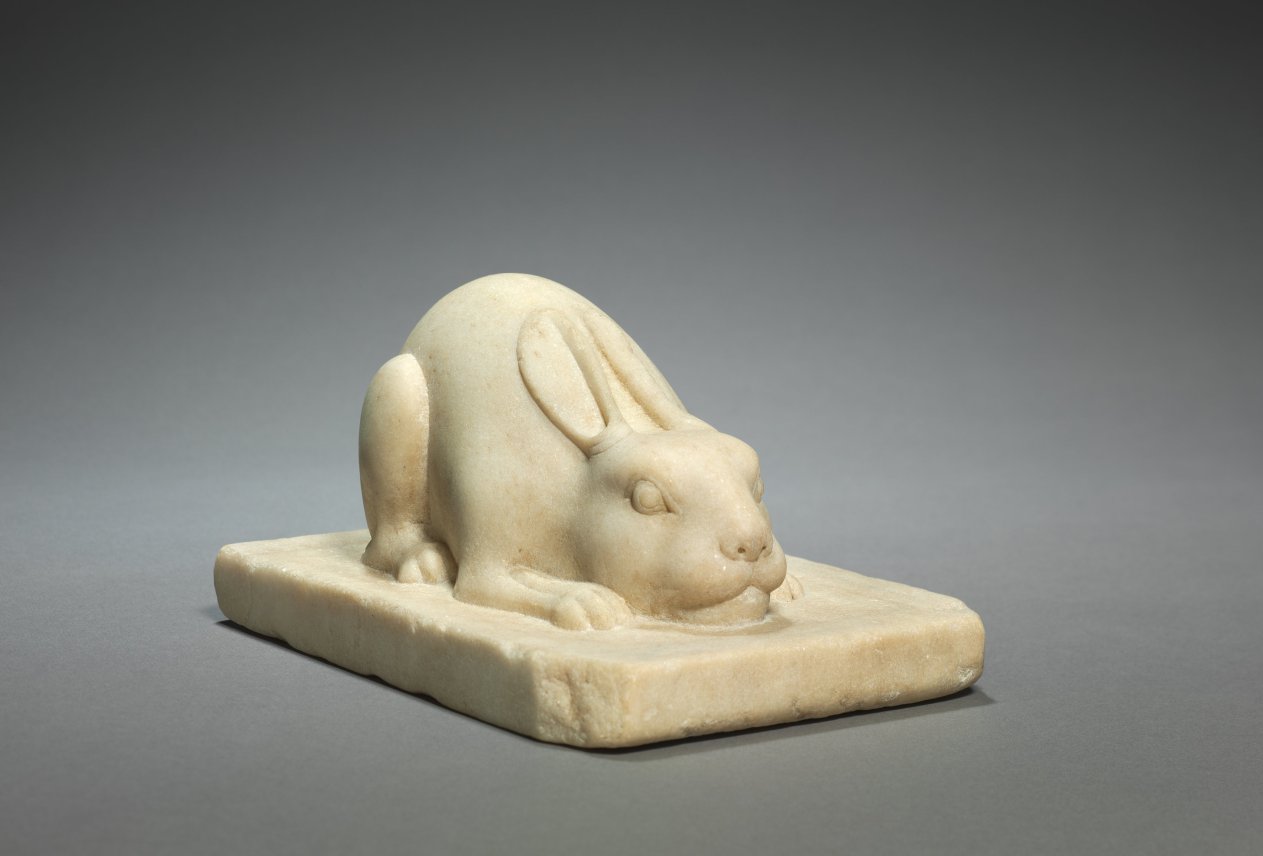 Hare