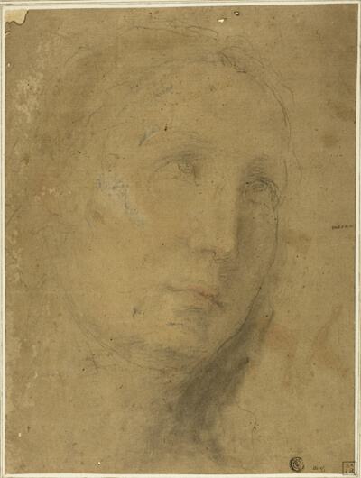 Head Looking Upwards