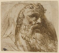 Head of a Man