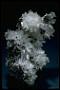Hemimorphite