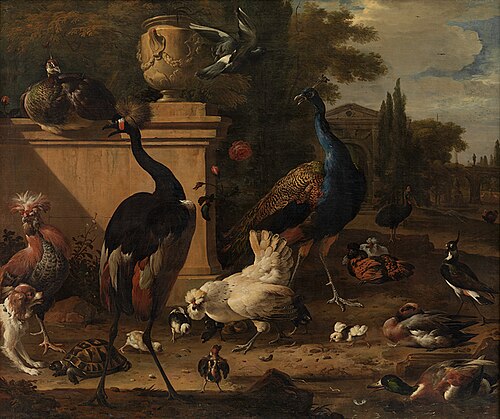 Hen Run at a Manor