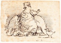 Hens and Chicks