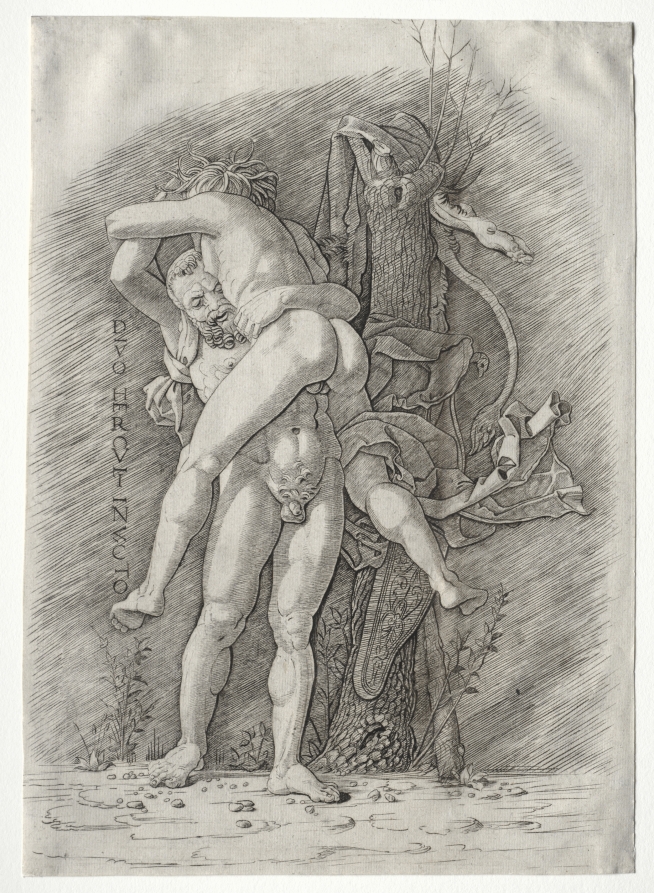 Hercules and Antaeus