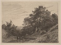 Herd in a Stream